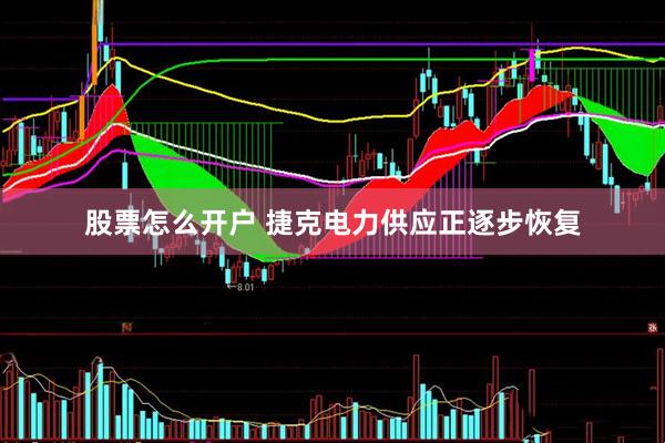 股票怎么开户 捷克电力供应正逐步恢复