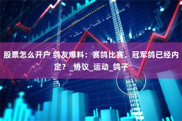 股票怎么开户 鸽友爆料：赛鸽比赛，冠军鸽已经内定？_协议_运动_鸽子