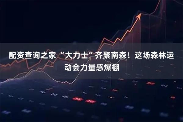 配资查询之家 “大力士”齐聚南森！这场森林运动会力量感爆棚